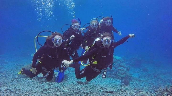 Learn to Dive With PRO DIVE Magnetic Island